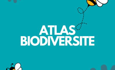 Newsletter d'avril - Atlas de la Biodiversité Pays d'Iroise