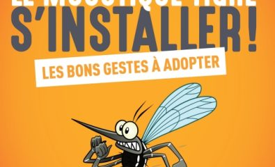 Surveillance du moustique tigre en Bretagne