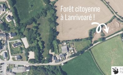 Projet de plantation citoyenne