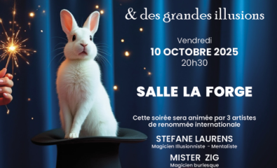 Gala de magie