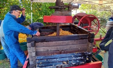 Le Pardon des châtaignes : traditions, saveurs et bonne humeur