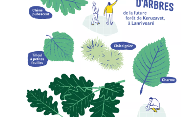 Plantation citoyenne le vendredi 13 février à 13h30. Venez Nombreux !